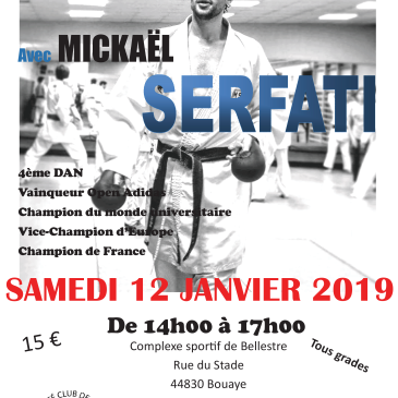 Stage KUMITE Mickaël SERFATI
